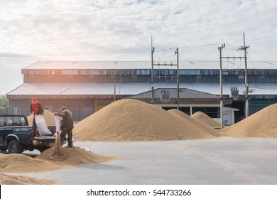 Grain Warehouse